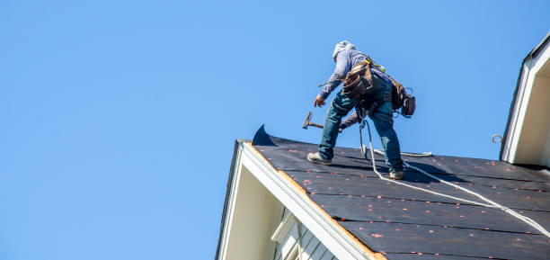 Best Roof Gutter Cleaning  in Oak Trail Shores, TX